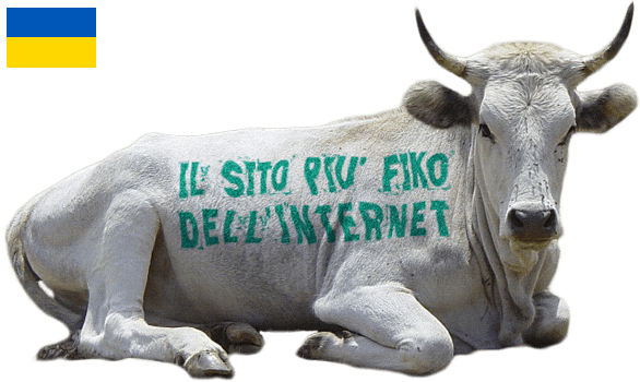 The coolest site on the internet