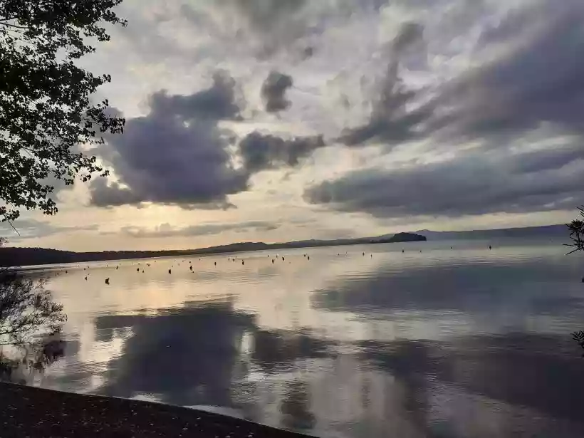 Ingrandisci questa immagine