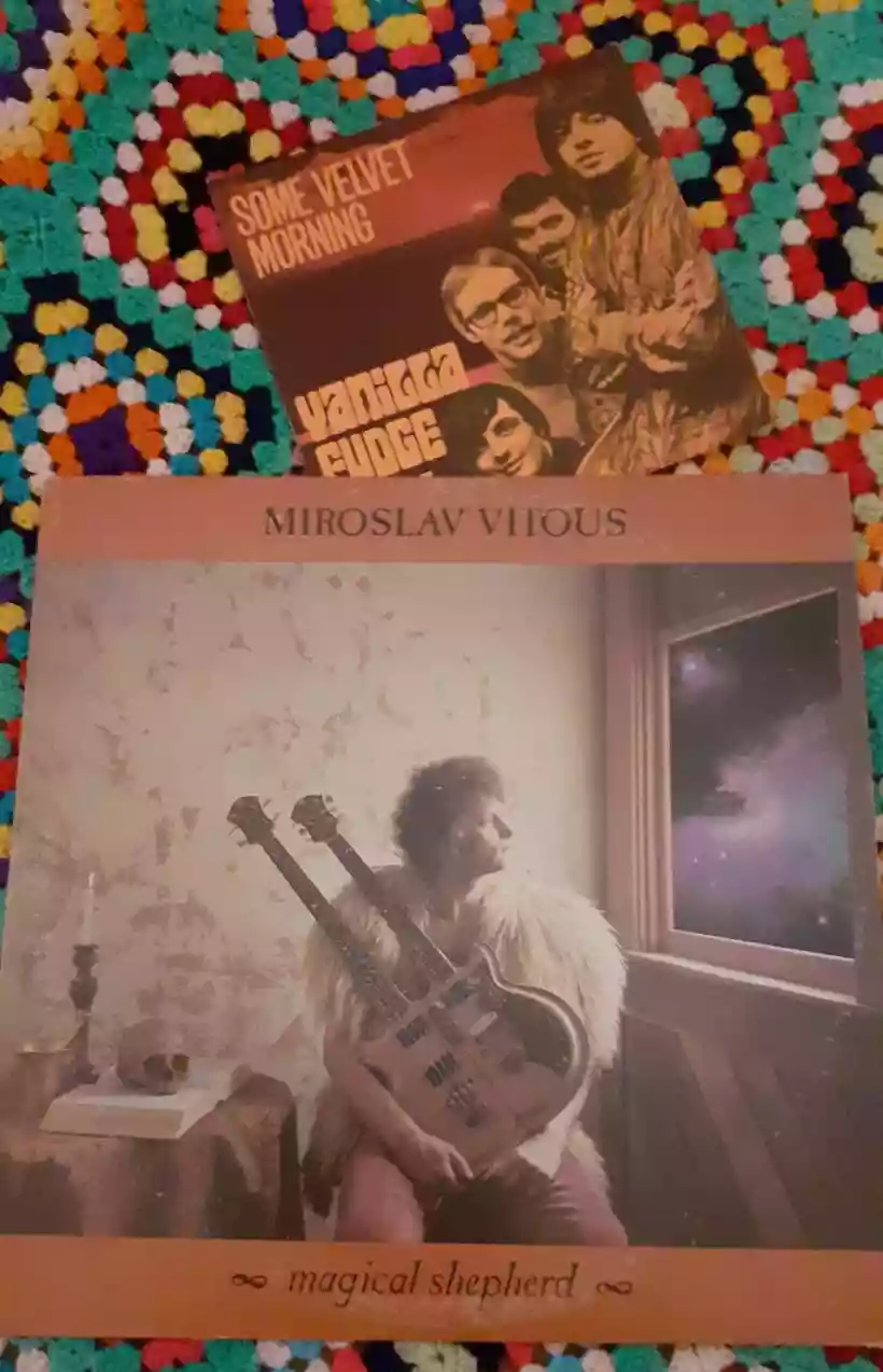 Ingrandisci questa immagine