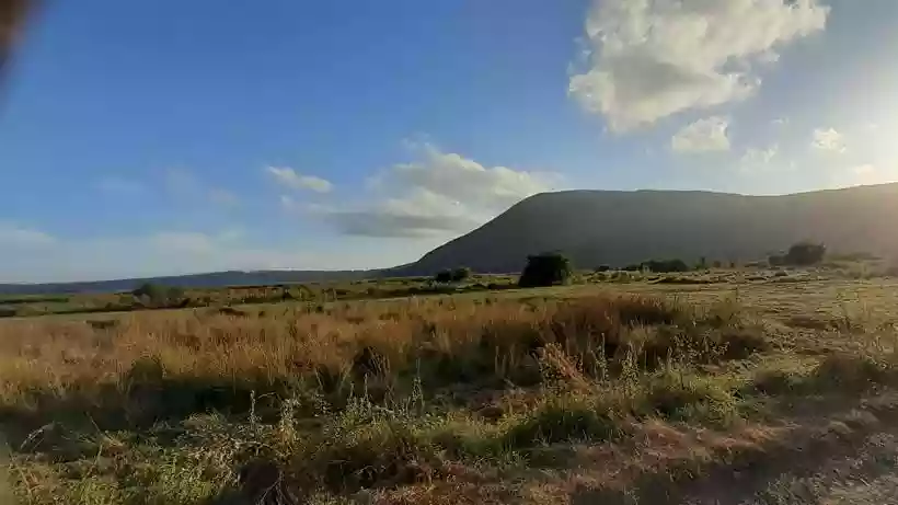 Ingrandisci questa immagine