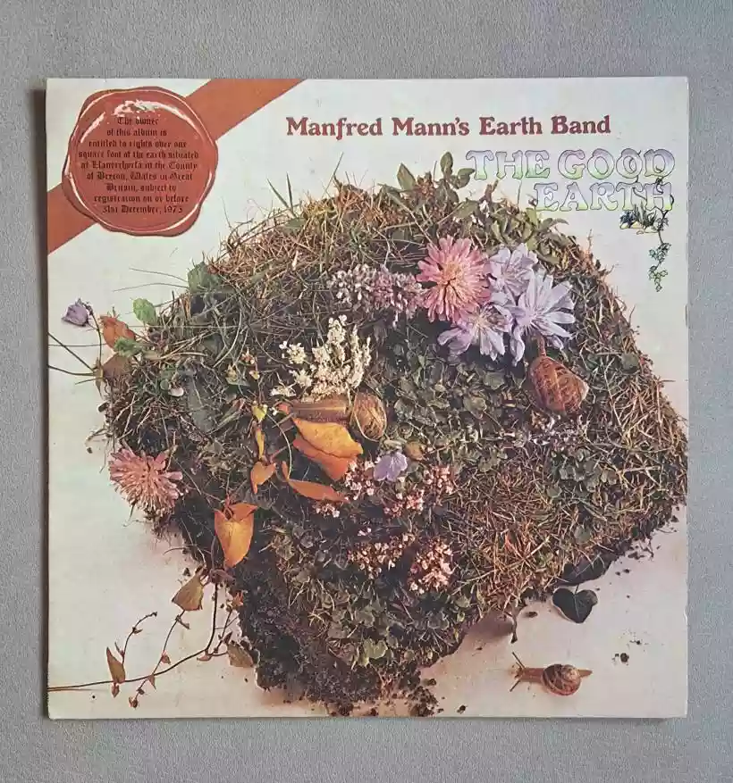 Ingrandisci questa immagine