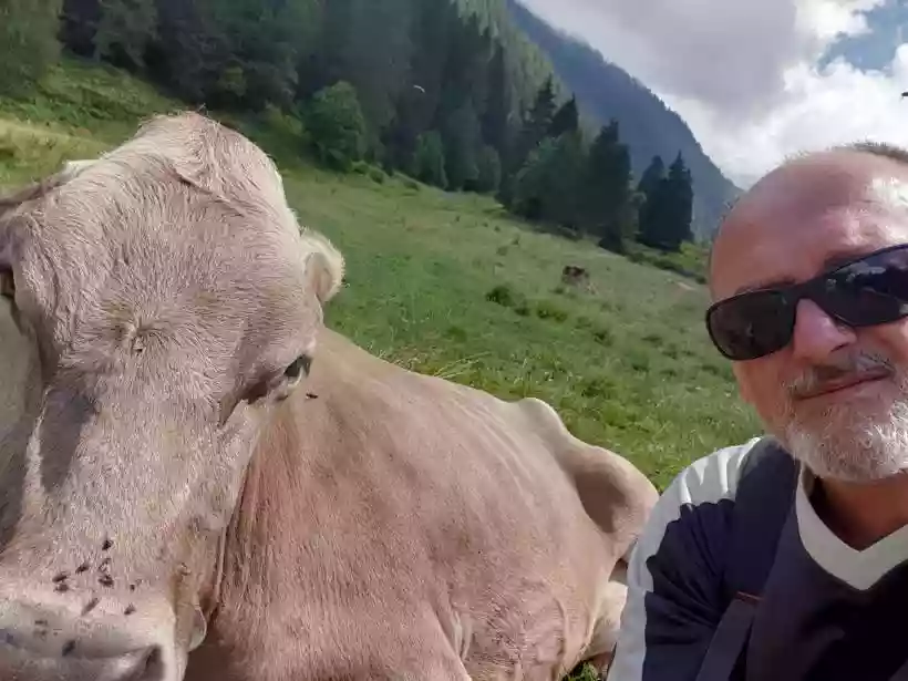 Ingrandisci questa immagine