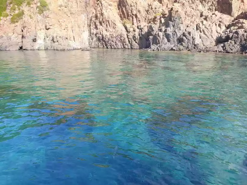 Ingrandisci questa immagine