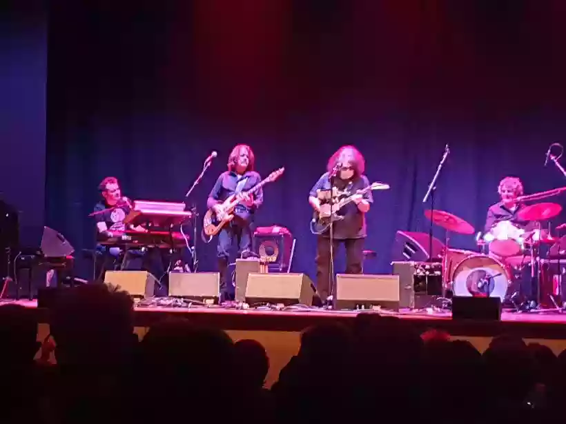 Ingrandisci questa immagine