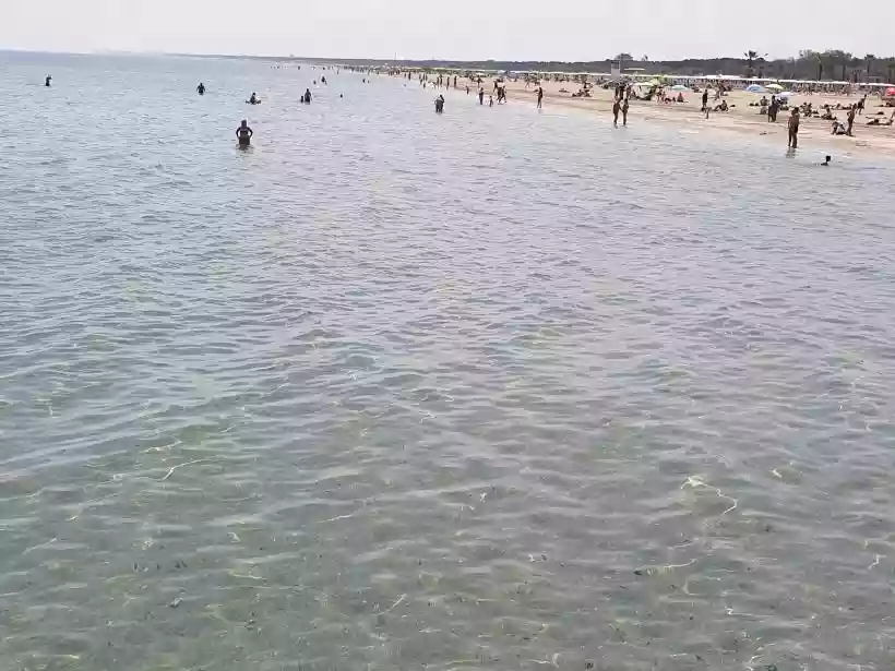 Ingrandisci questa immagine