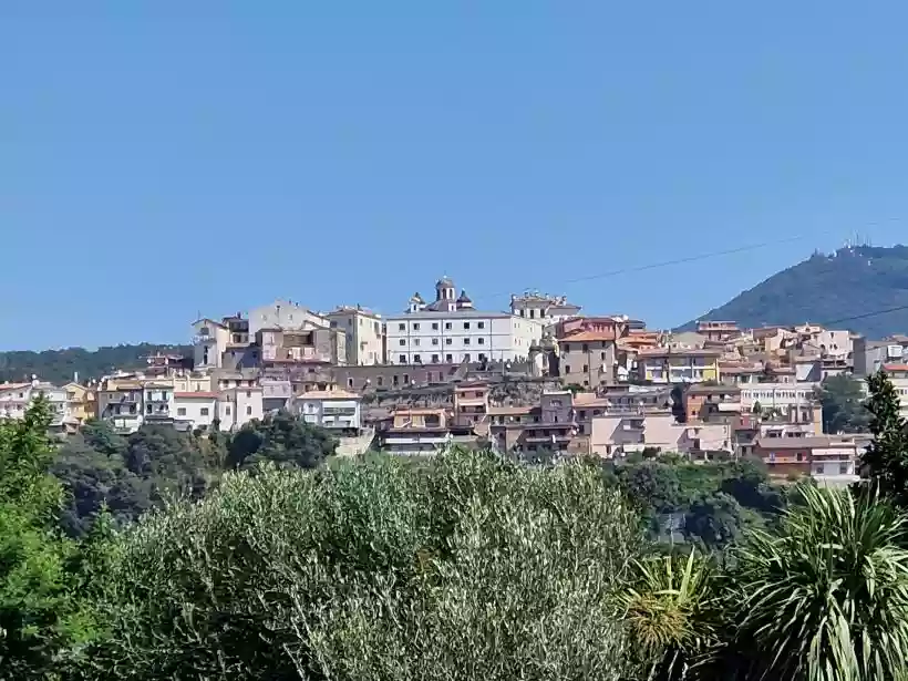 Ingrandisci questa immagine