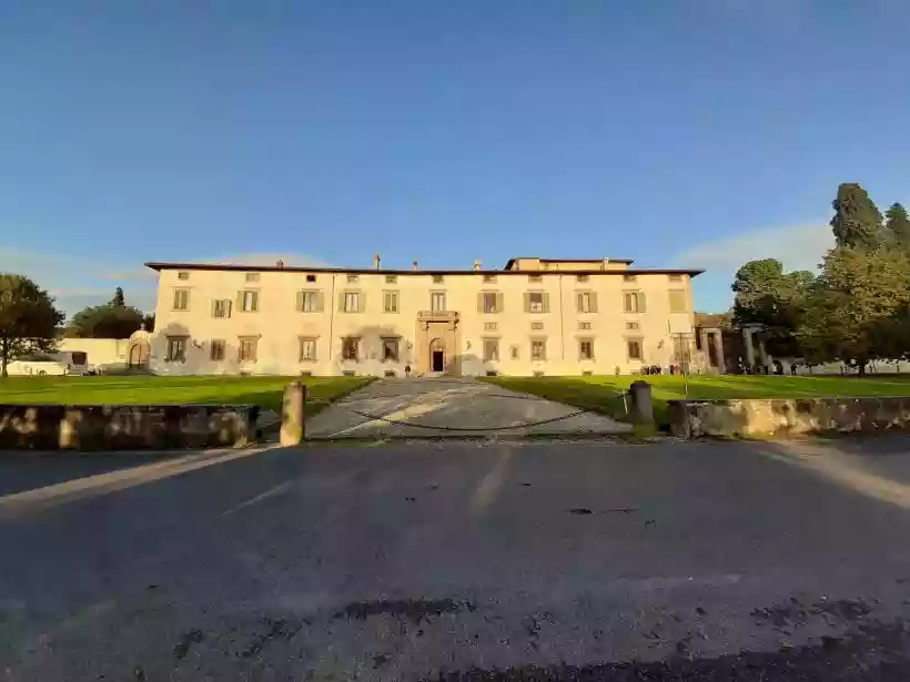 Ingrandisci questa immagine