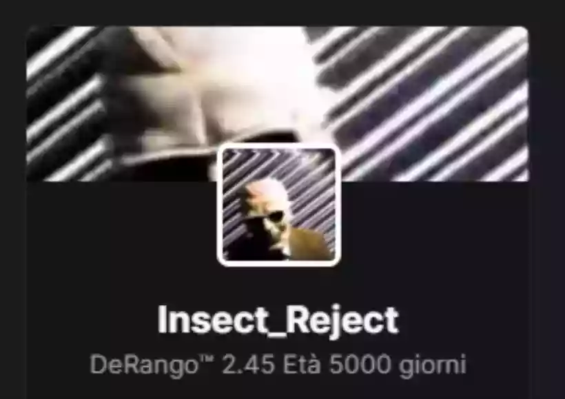Ingrandisci questa immagine