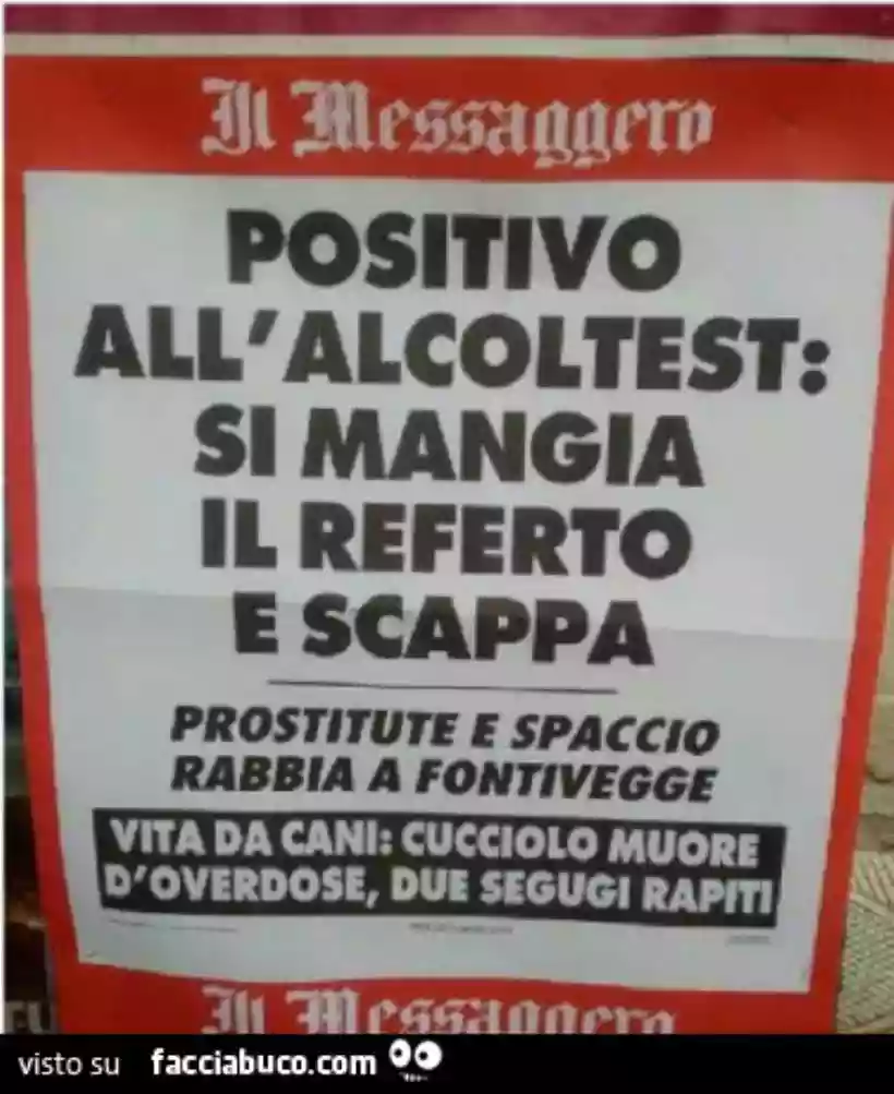 Ingrandisci questa immagine