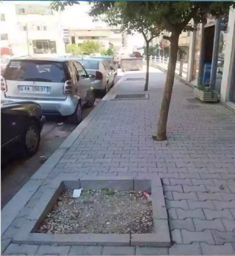 Ingrandisci questa immagine