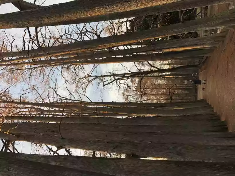 Ingrandisci questa immagine