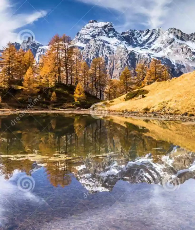 Ingrandisci questa immagine