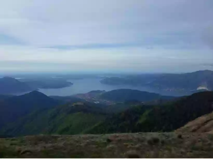 Ingrandisci questa immagine