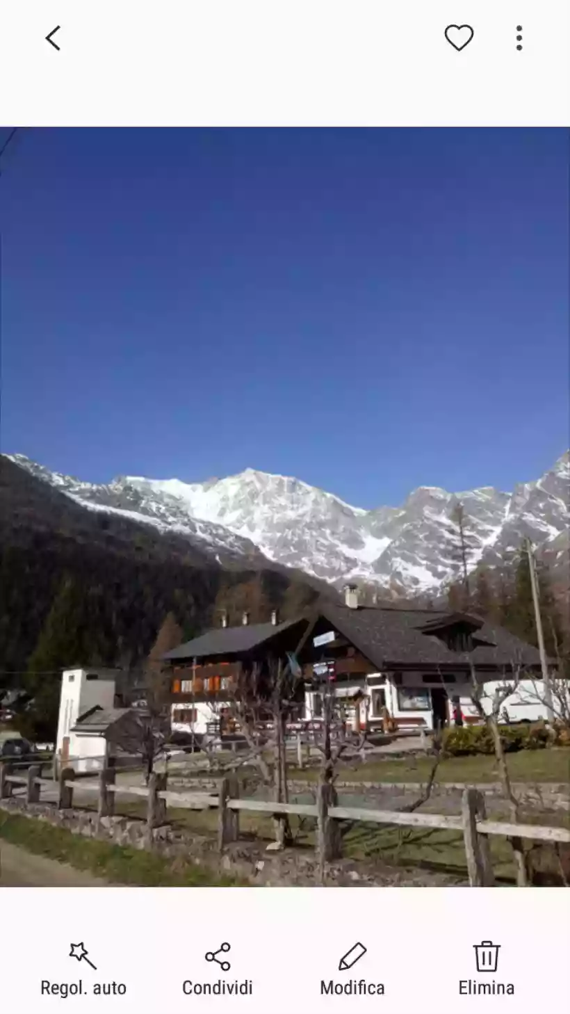 Ingrandisci questa immagine