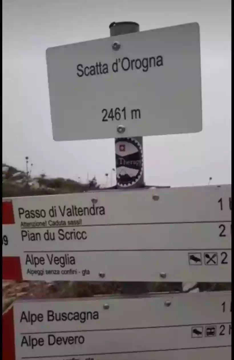 Ingrandisci questa immagine