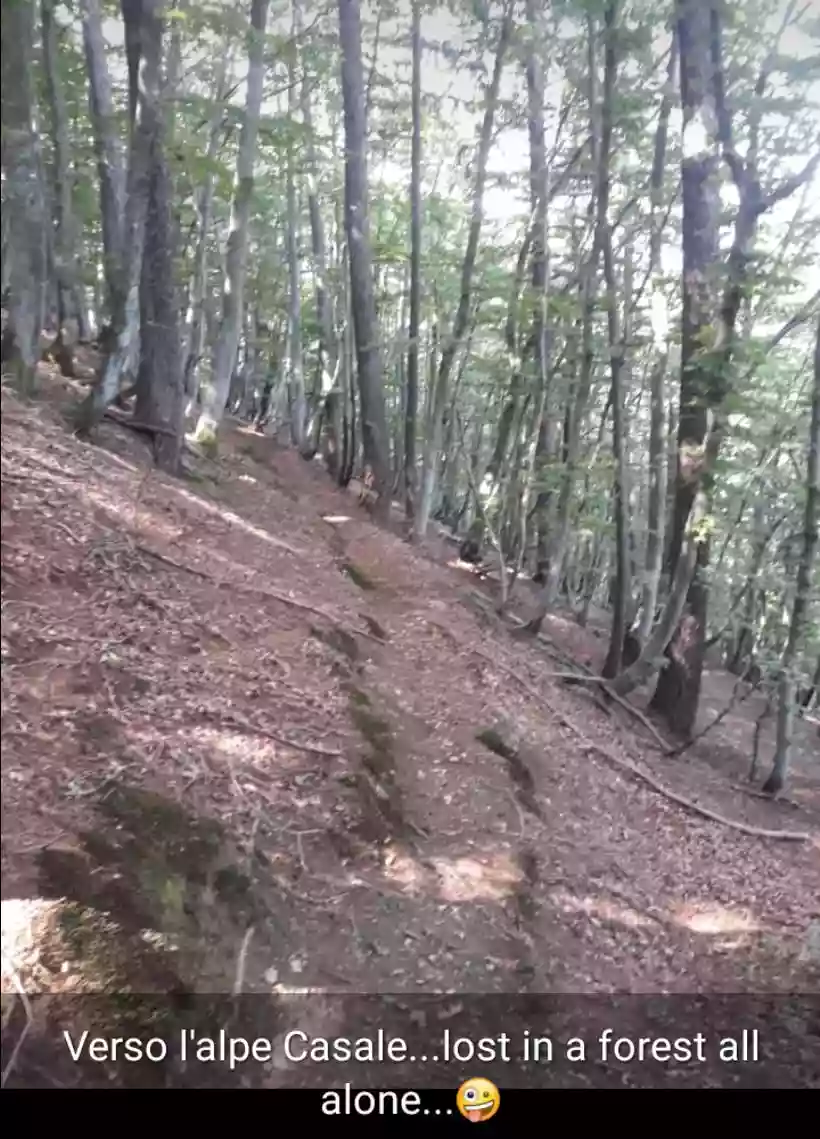Ingrandisci questa immagine
