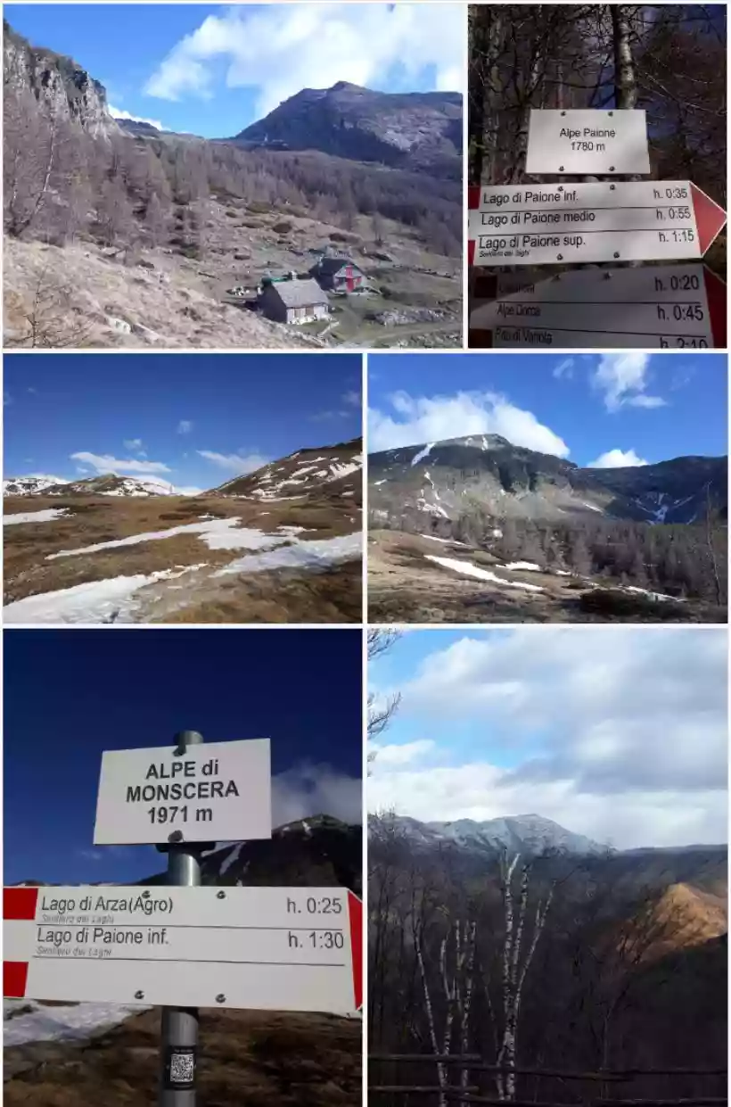 Ingrandisci questa immagine