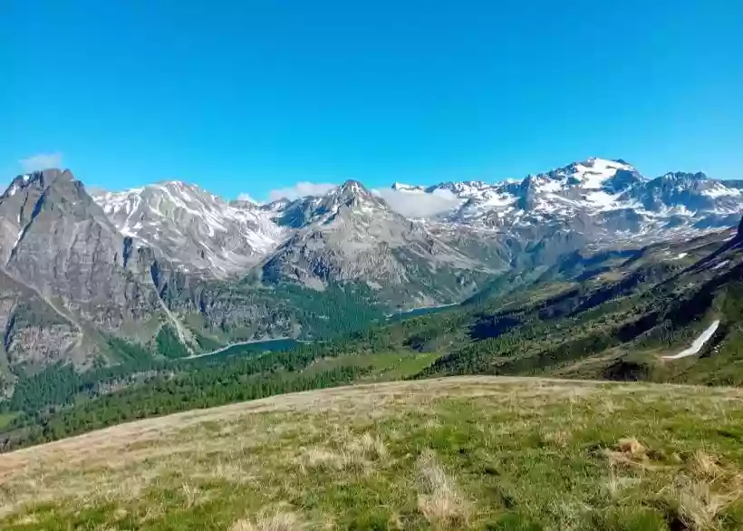 Ingrandisci questa immagine
