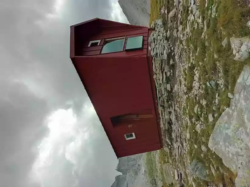 Ingrandisci questa immagine