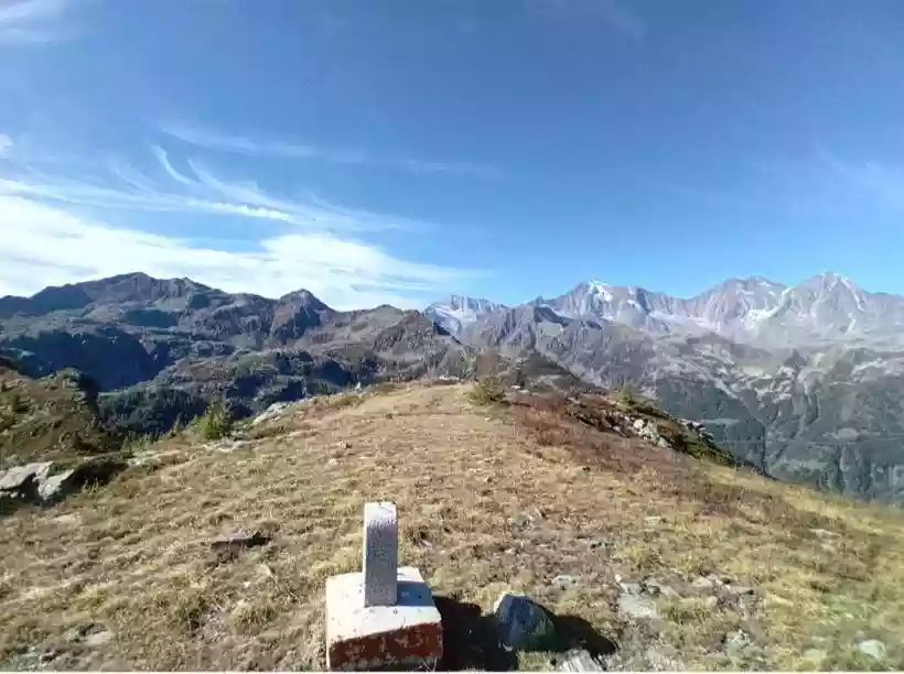 Ingrandisci questa immagine