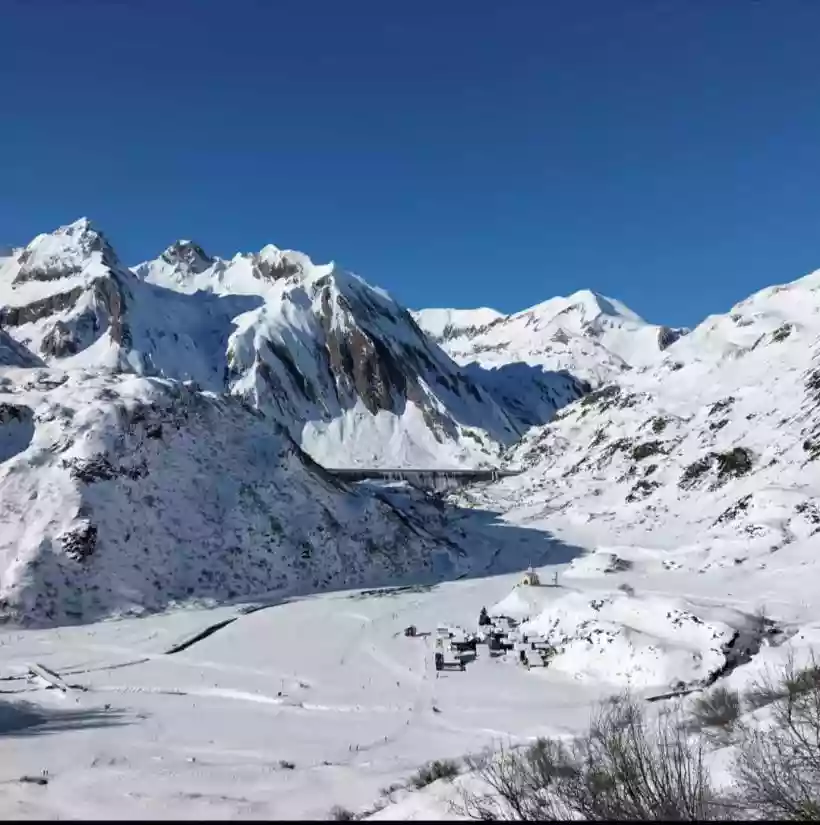Ingrandisci questa immagine