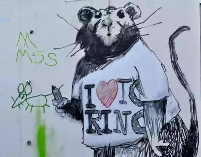 Ingrandisci questa immagine