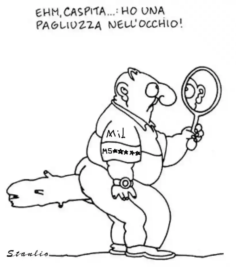 Ingrandisci questa immagine