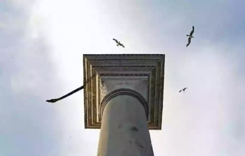 Ingrandisci questa immagine