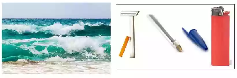 Ingrandisci questa immagine