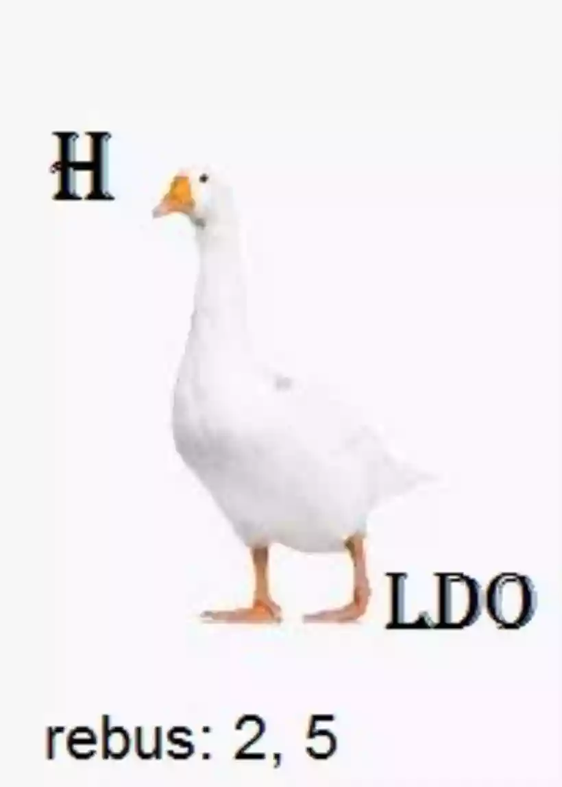 Ingrandisci questa immagine