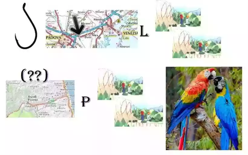 Ingrandisci questa immagine