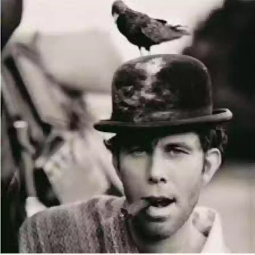 Ingrandisci questa immagine