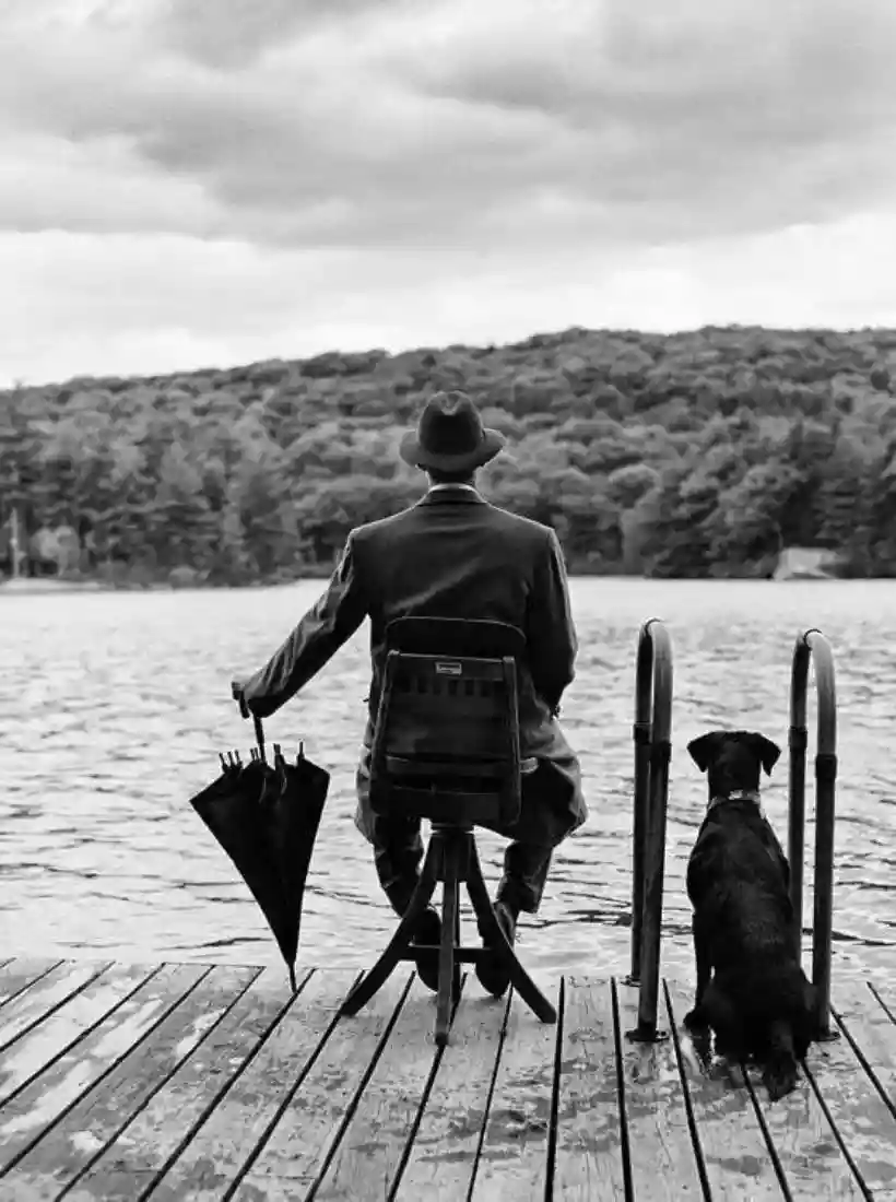 Ingrandisci questa immagine