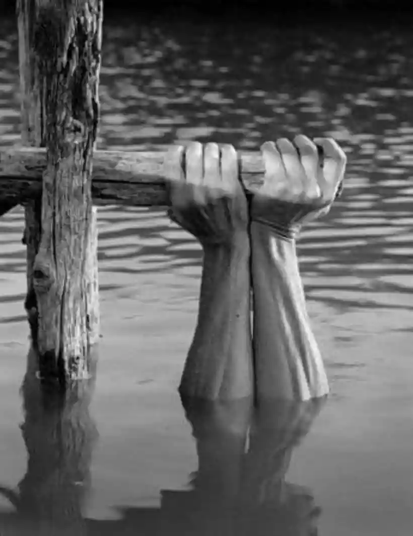 Ingrandisci questa immagine