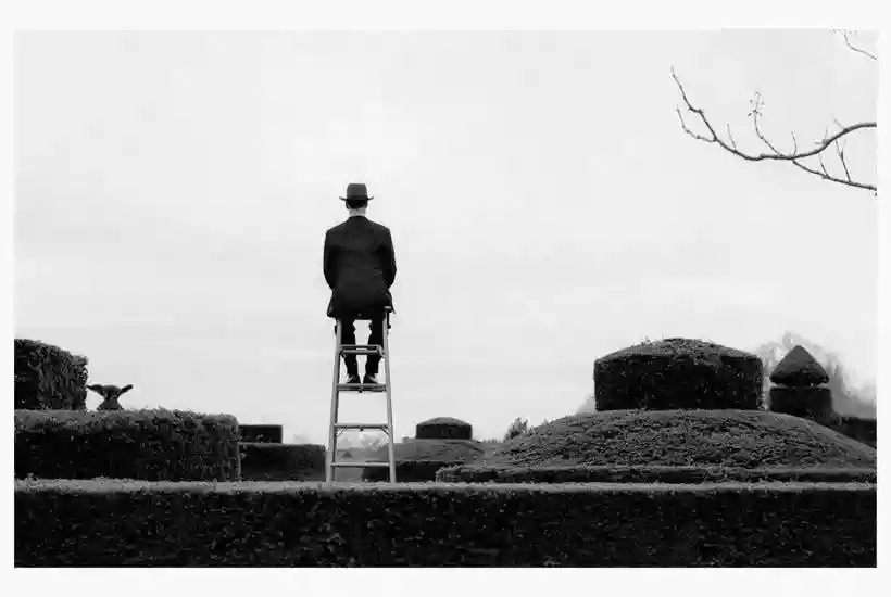 Ingrandisci questa immagine