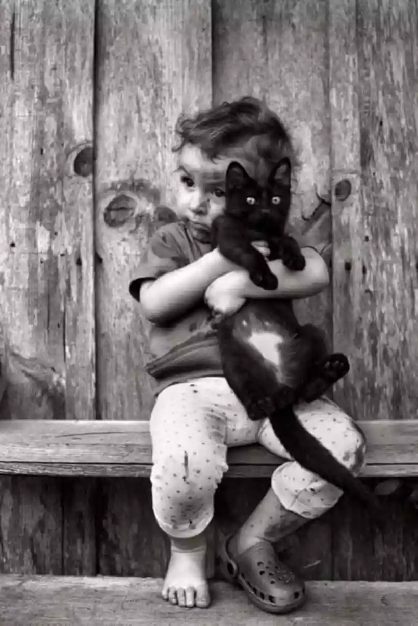 Ingrandisci questa immagine