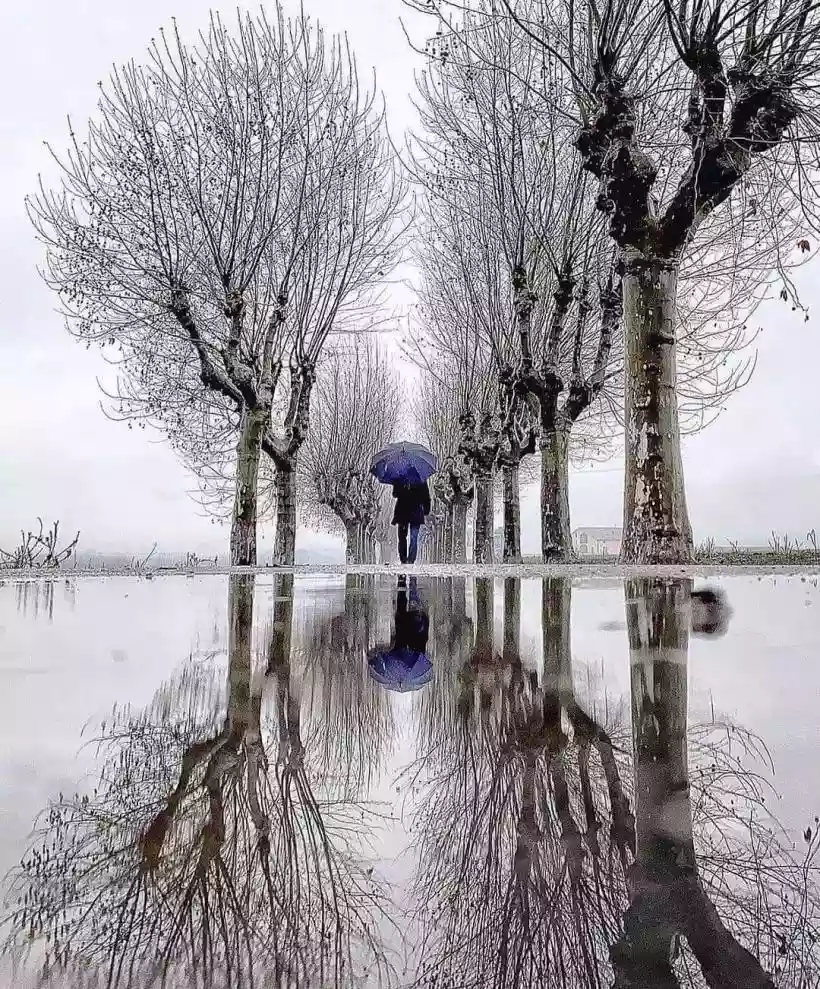 Ingrandisci questa immagine