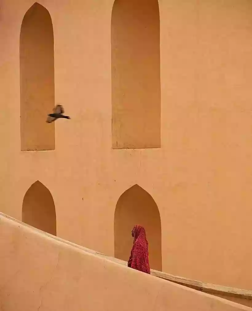 Ingrandisci questa immagine