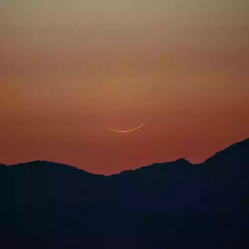 Ingrandisci questa immagine