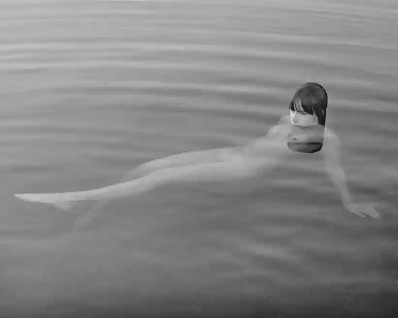 Ingrandisci questa immagine