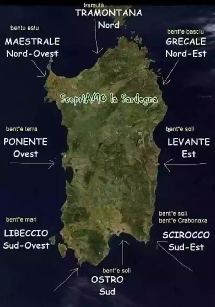 Ingrandisci questa immagine