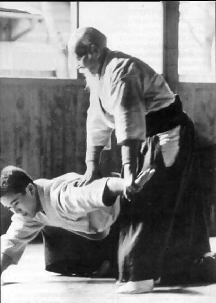 Ingrandisci questa immagine