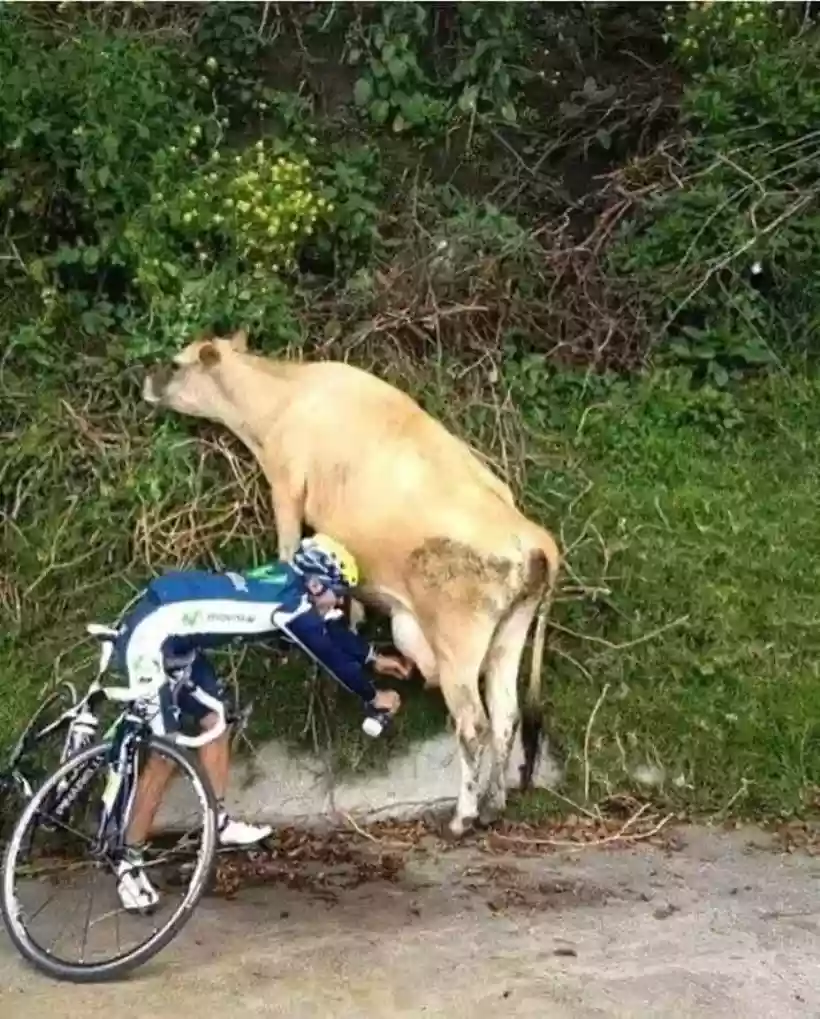 Ingrandisci questa immagine
