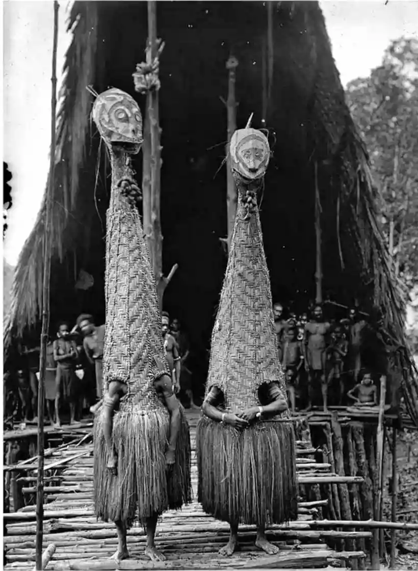 Ingrandisci questa immagine