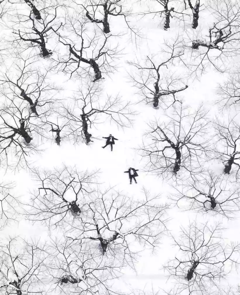 Ingrandisci questa immagine