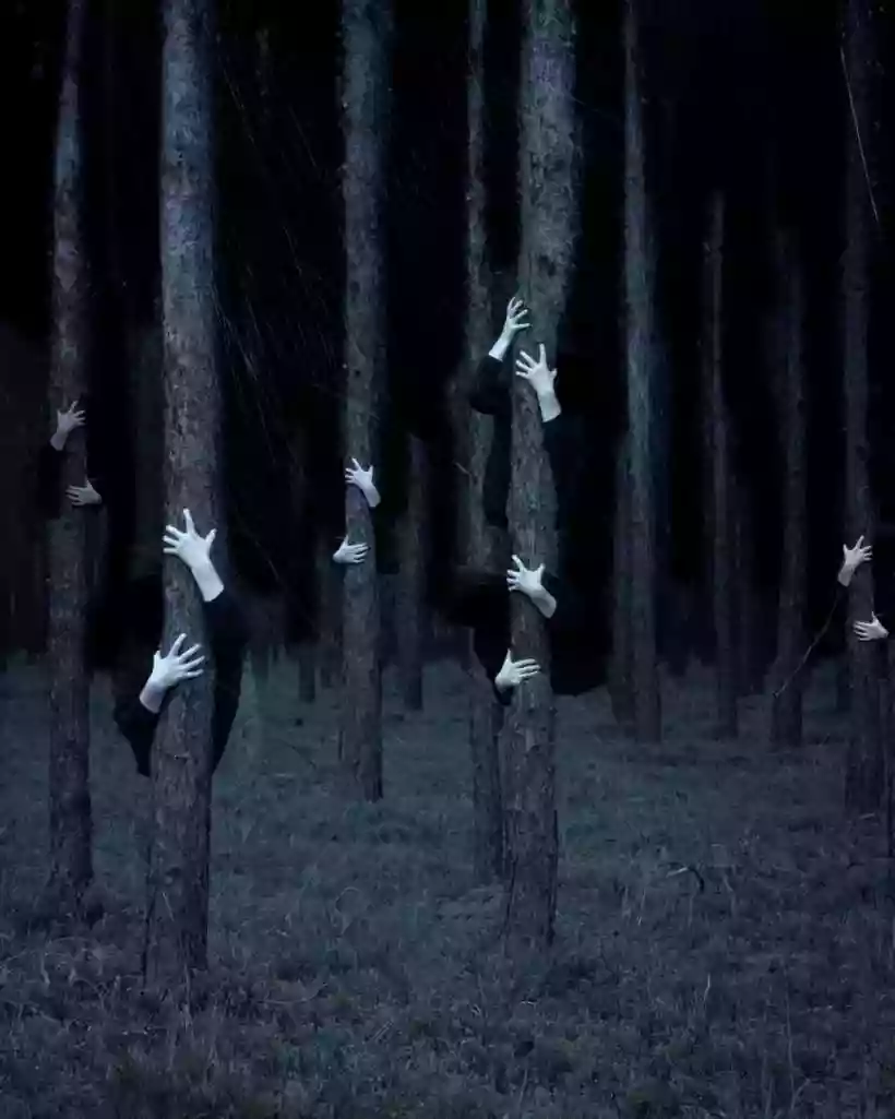 Ingrandisci questa immagine