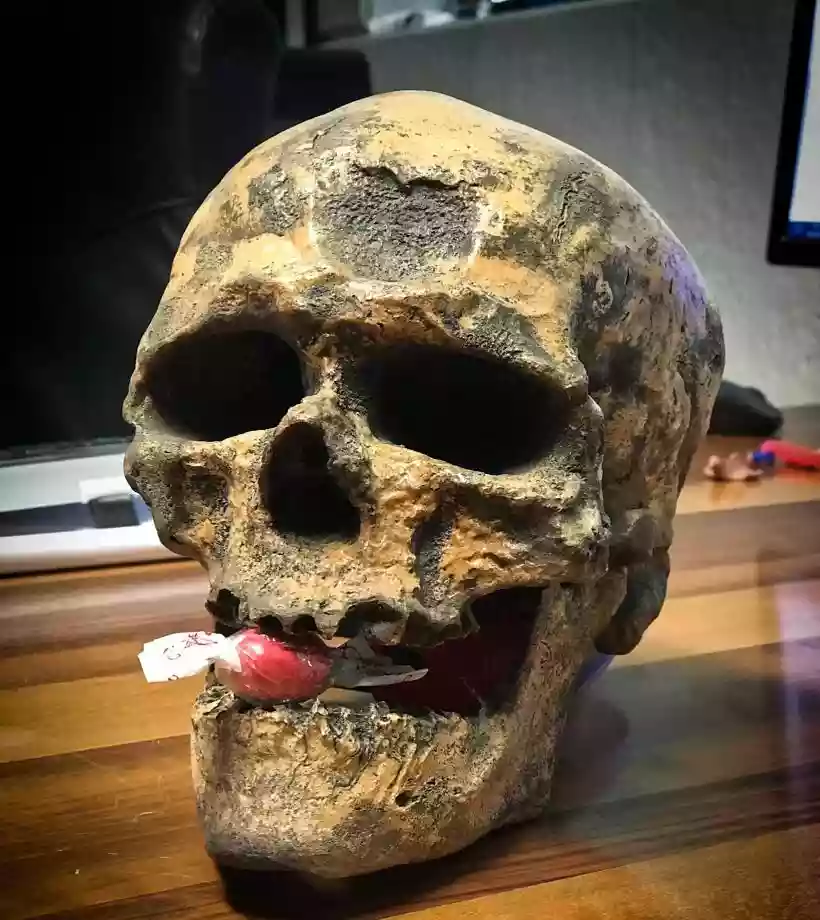 Ingrandisci questa immagine