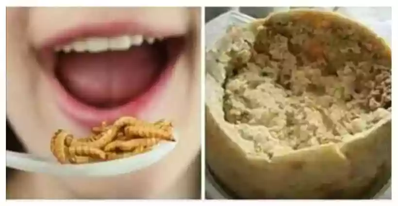 Ingrandisci questa immagine