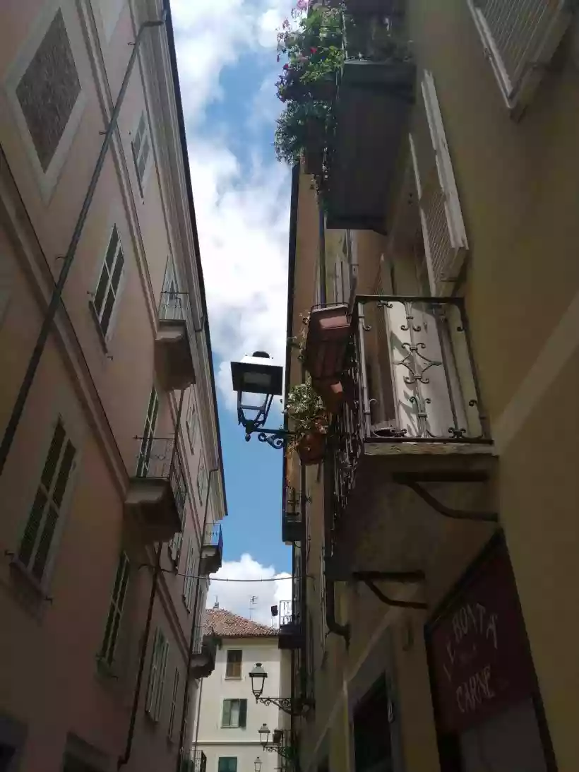 Ingrandisci questa immagine