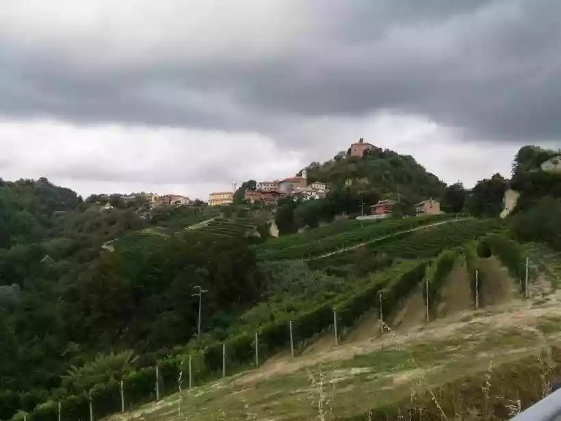 Ingrandisci questa immagine